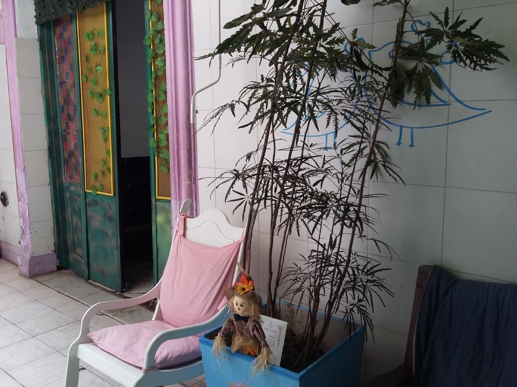 בואנוס איירס Hospedaje La Rana מראה חיצוני תמונה