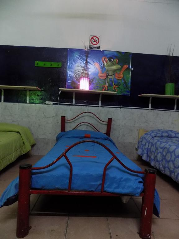 בואנוס איירס Hospedaje La Rana מראה חיצוני תמונה